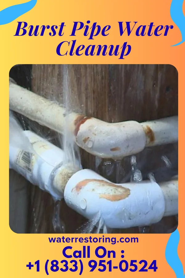 Burst Pipe Water Cleanup in Big Thicket Lake Estates, TX