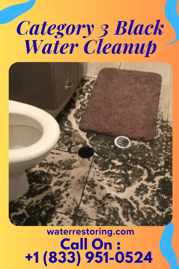 Category 3 Black Water Cleanup in Big Thicket Lake Estates, TX