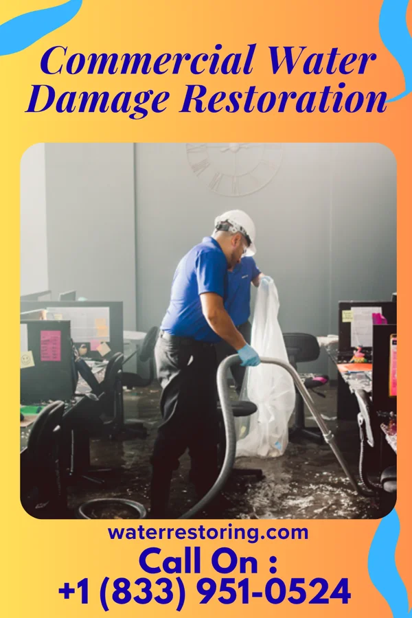 Commercial Water Damage Restoration in Big Thicket Lake Estates, TX