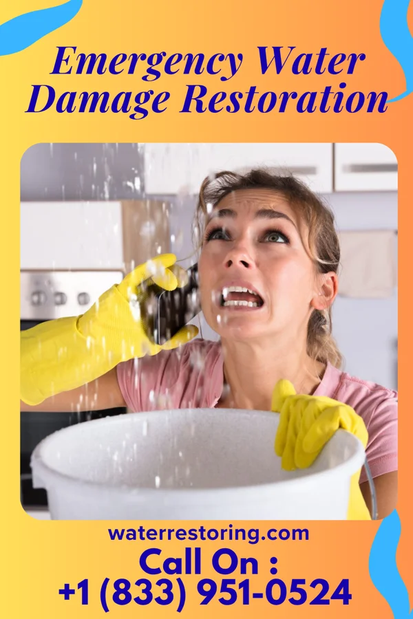Emergency Water Damage Restoration in Big Thicket Lake Estates, TX