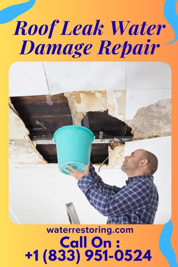 Roof Leak Water Damage Repair in Big Thicket Lake Estates, TX